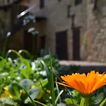 Agriturismo * Nestore