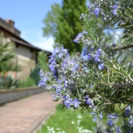 Agriturismo Gospodarstwo agroturystyczne Nestore