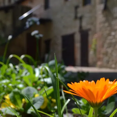 Agriturismo * Nestore