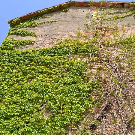 Agriturismo * Nestore