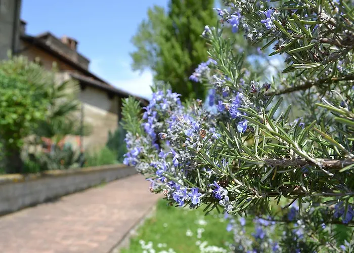 Agriturismo Gospodarstwo agroturystyczne Nestore