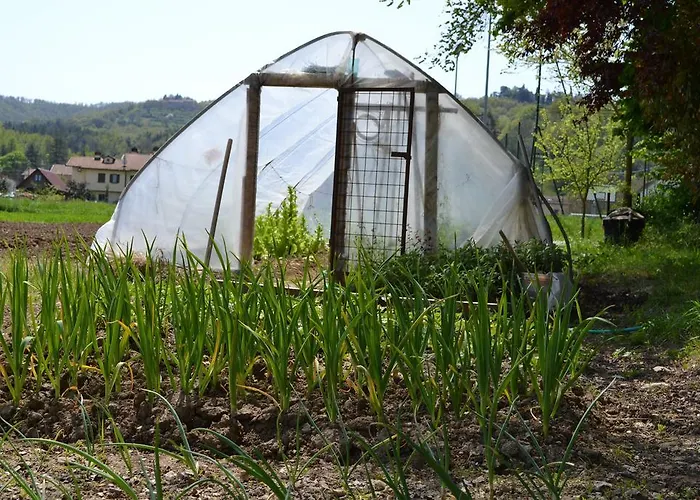 Gospodarstwo agroturystyczne Agriturismo *