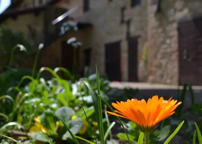 内斯托雷酒店 * Nestore