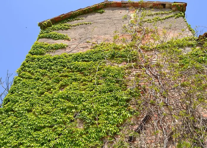 Agriturismo * Nestore